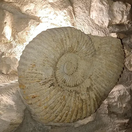 Dependance Appartamento *