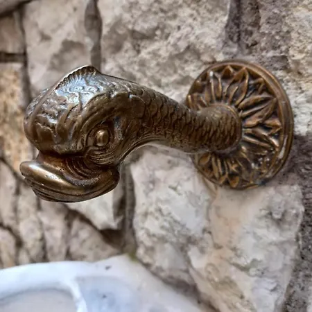 Dependance דירה מאלצ'סינה